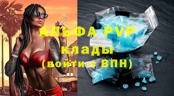 соль ск Алексин