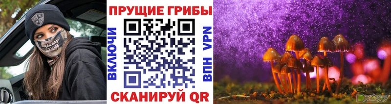 Псилоцибиновые грибы Psilocybe  хочу   Омутнинск 